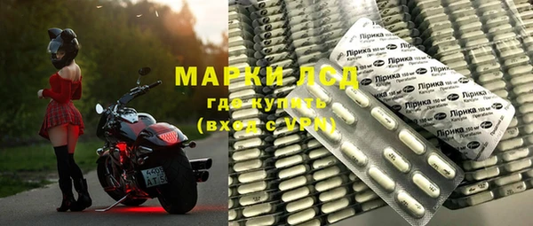 прущие грибы Алексеевка