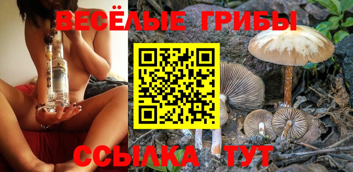 Псилоцибиновые грибы мухоморы  Галлюциногенные грибы Cubensis  Бирск  Вход с VPN 